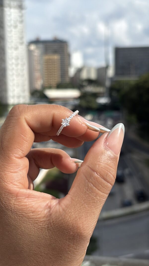 Anel solitário em PRATA 950 - 6 GARRAS